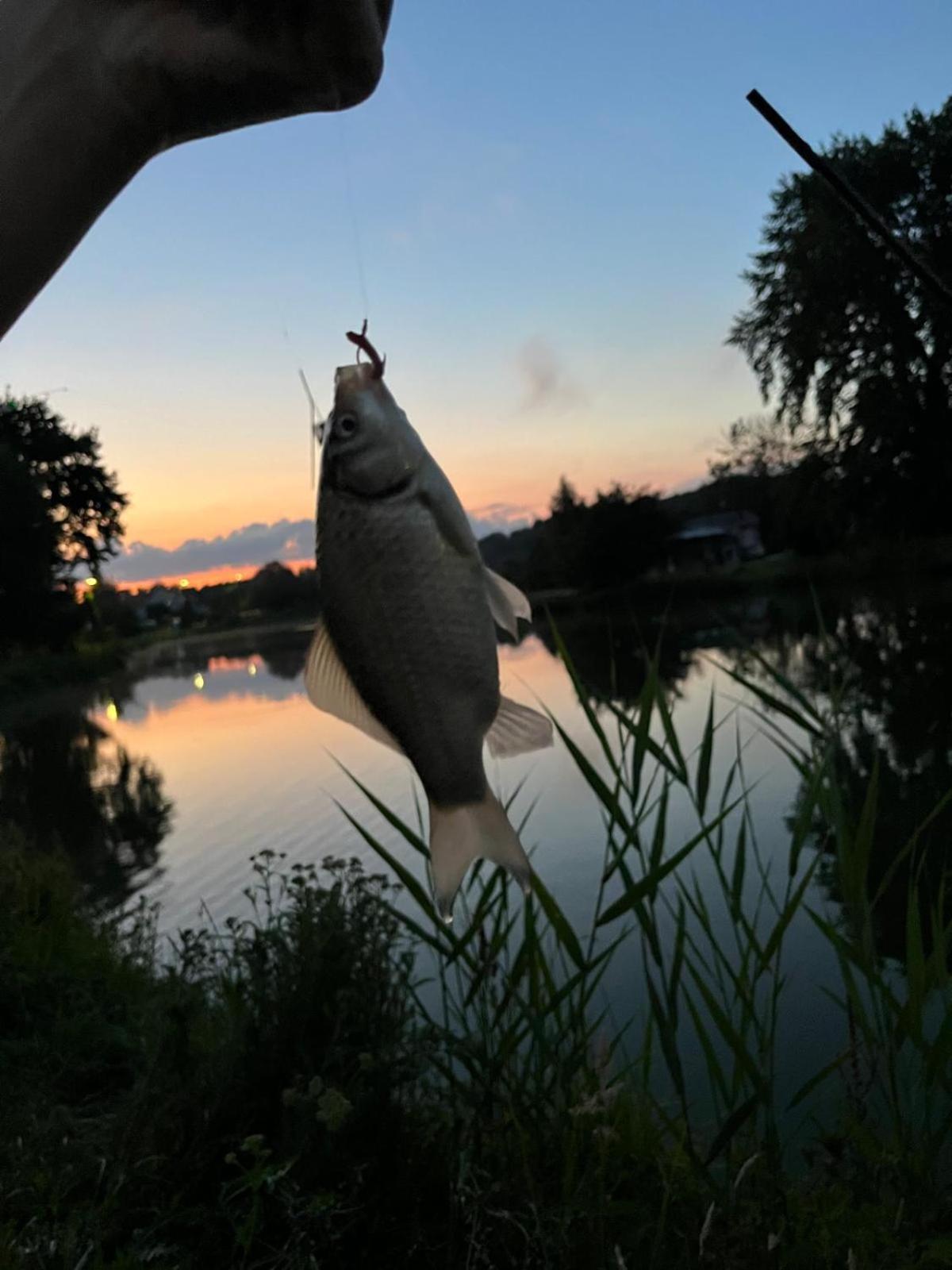 Osada Karszewo, Sauna Bania, Ryby 外观 照片